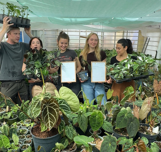 Nya certifieringar på plats och vi växer hållbart