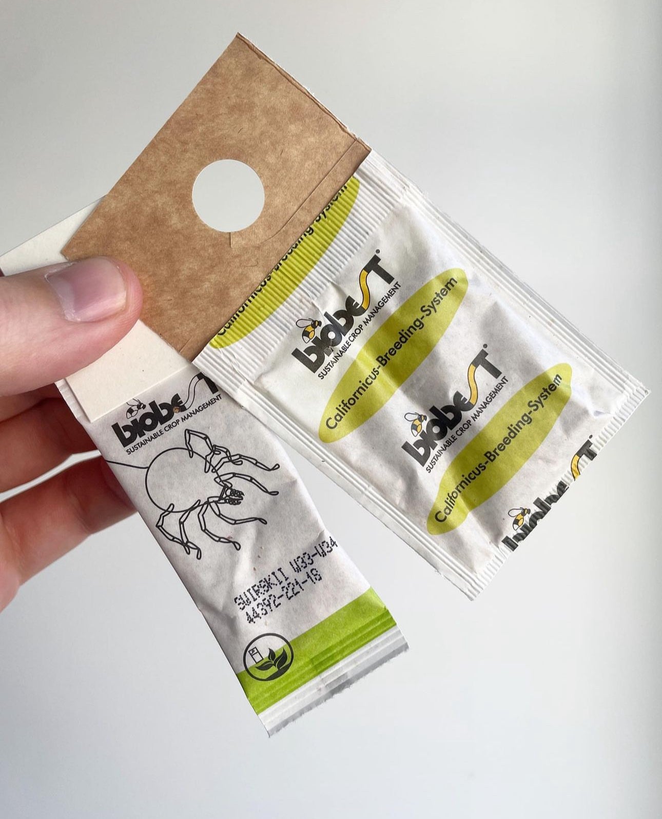 ¡4x bolsas de la araña y la suscripción de control de los trips!