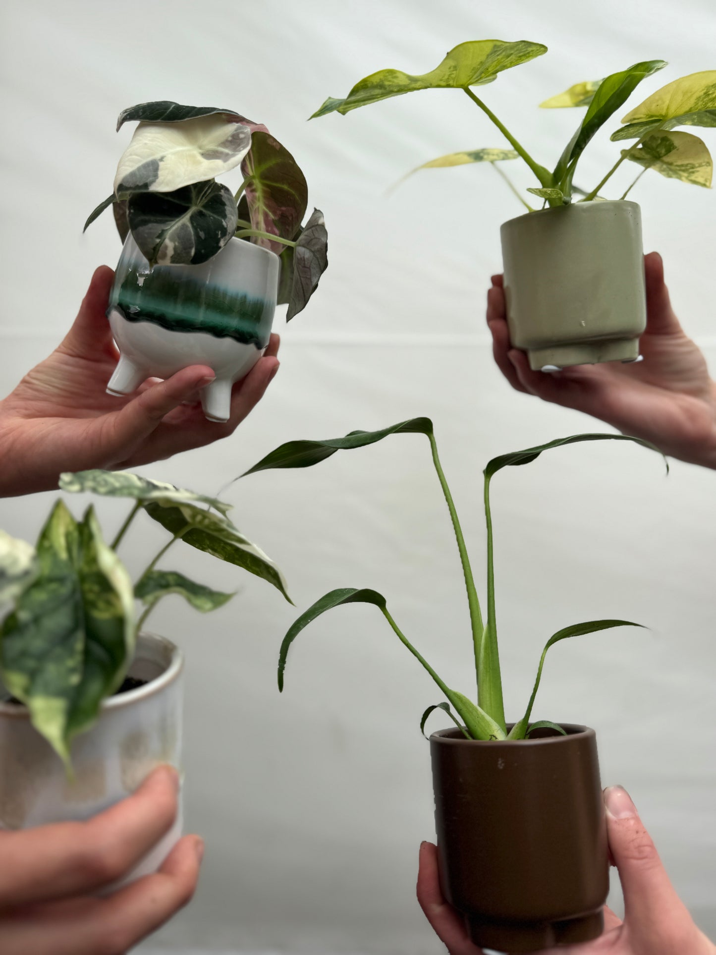 6 cm Ceramic Pot
