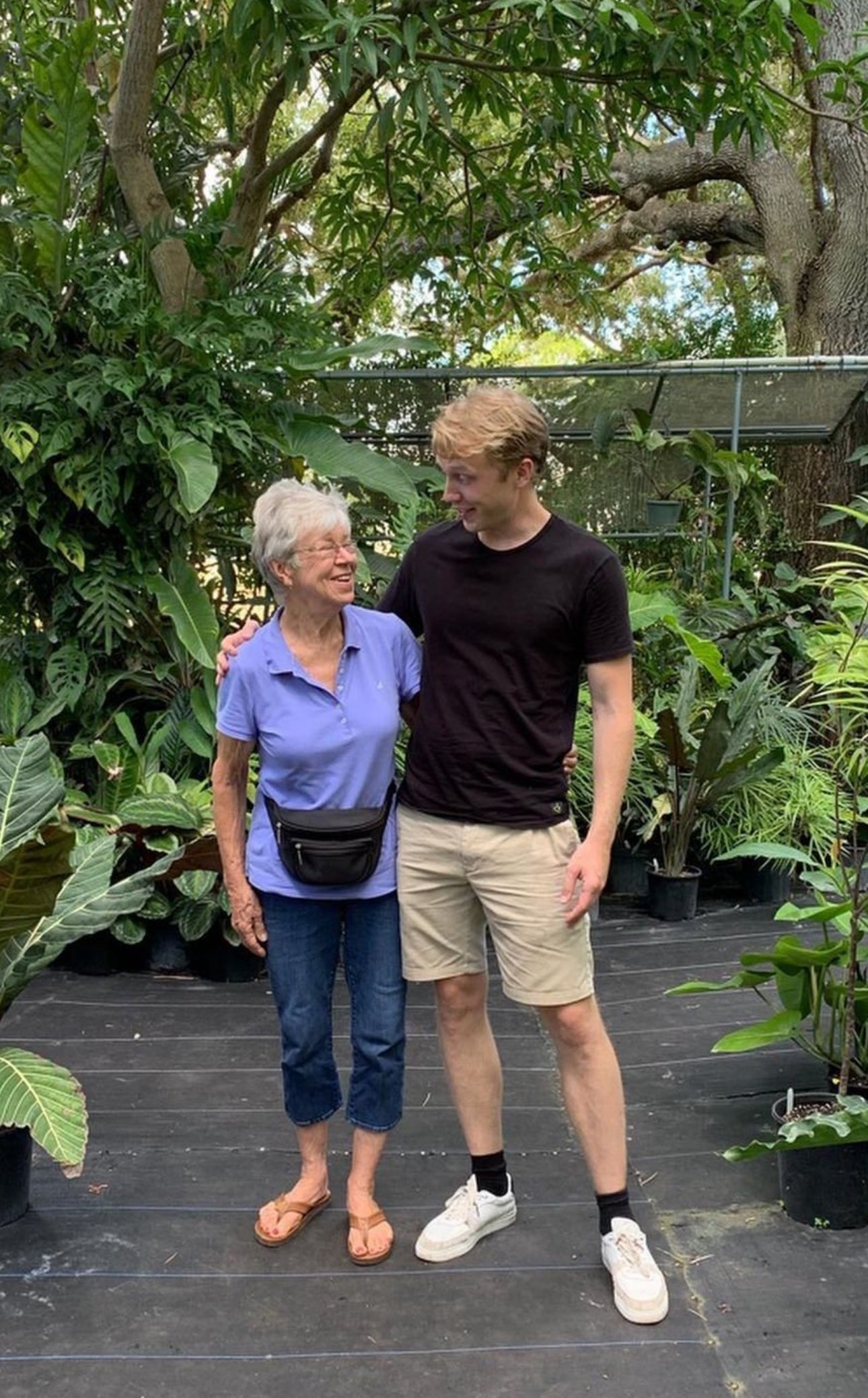 Anthurium 'DELTA FORCE'