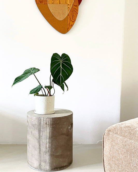 Why Direct Sunlight is bad