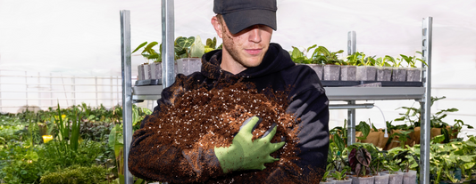 The right soil makes all the difference