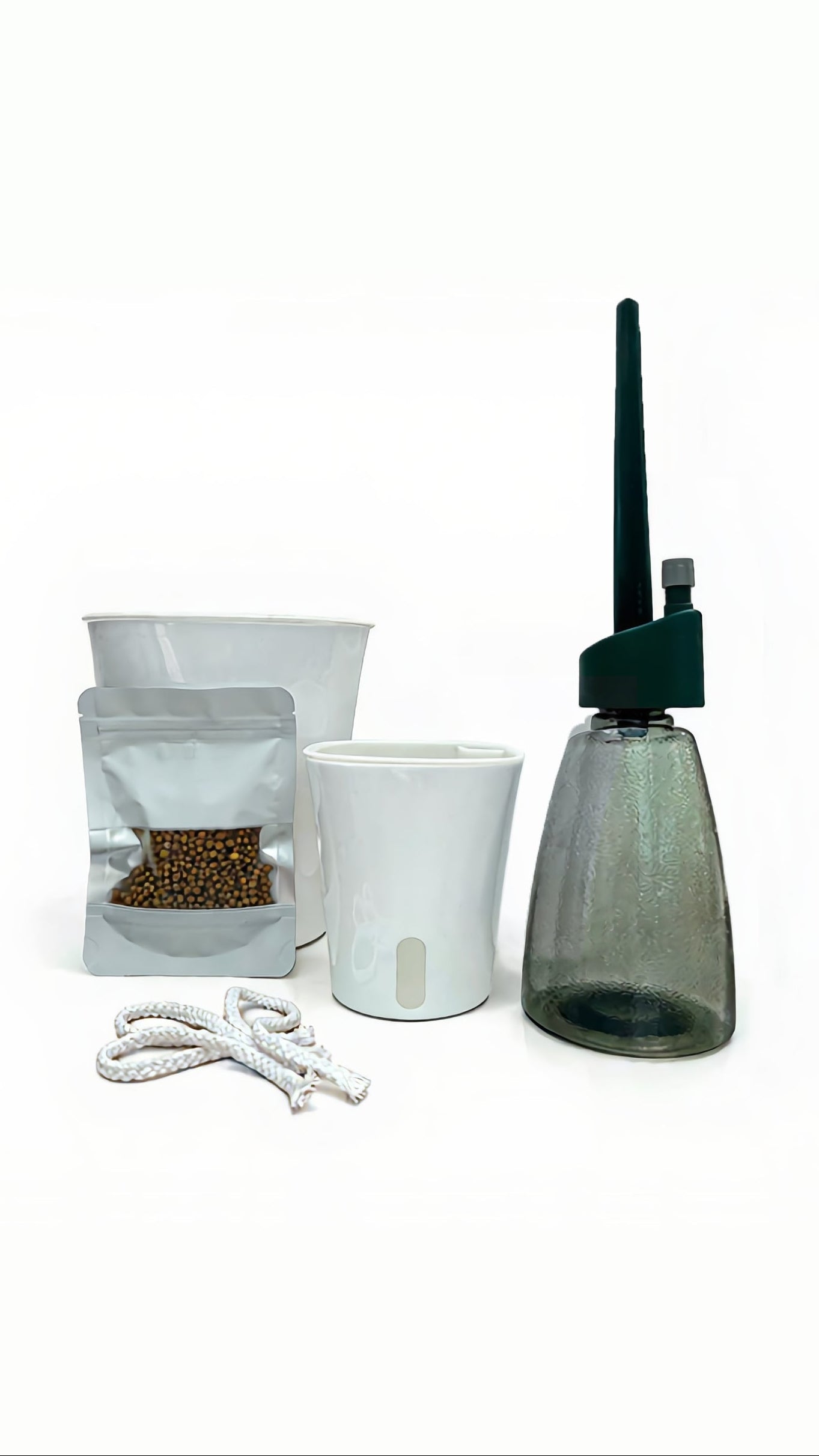 Lazy plant parent bundle