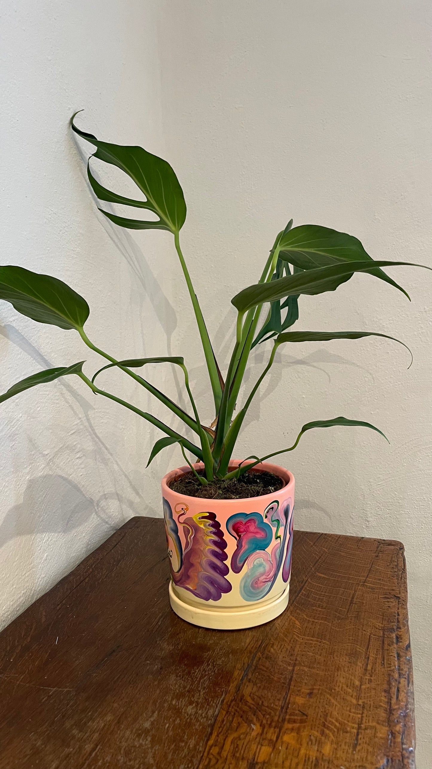 Handpainted Pot 16cm