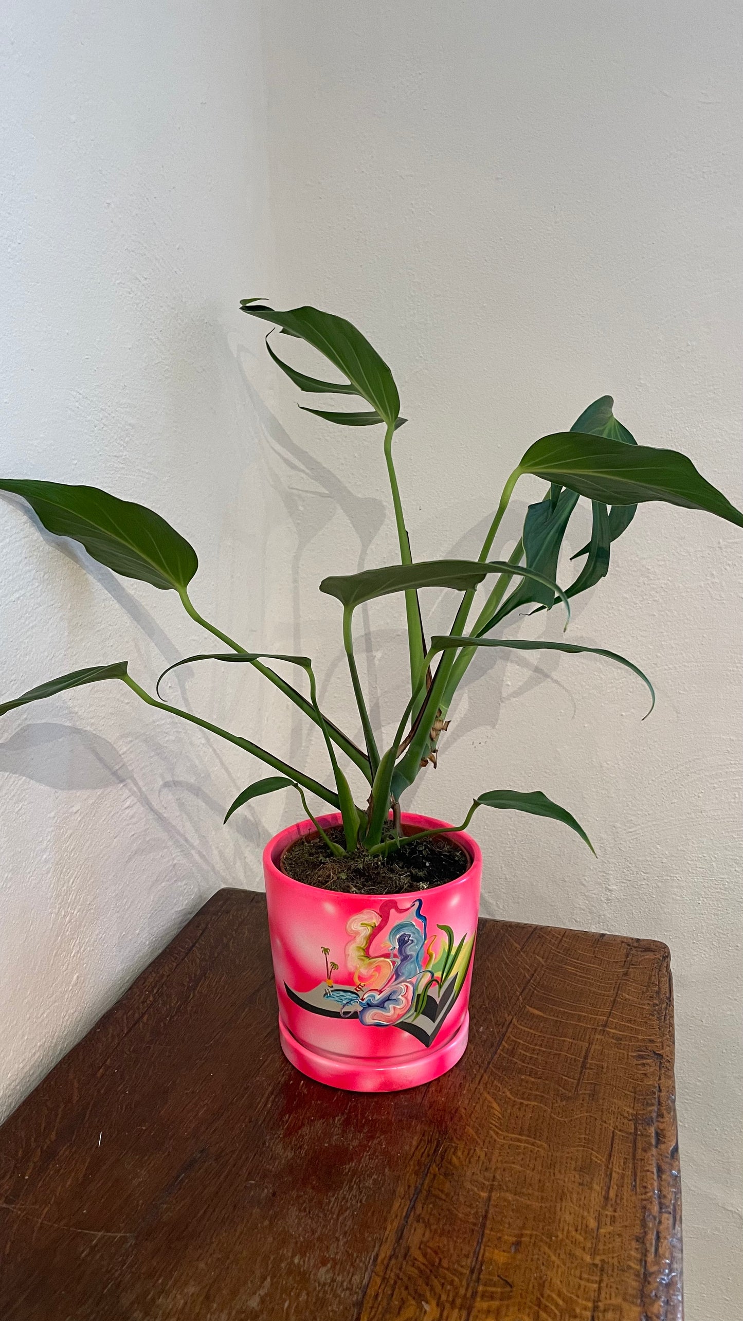 Handpainted Pot 16cm