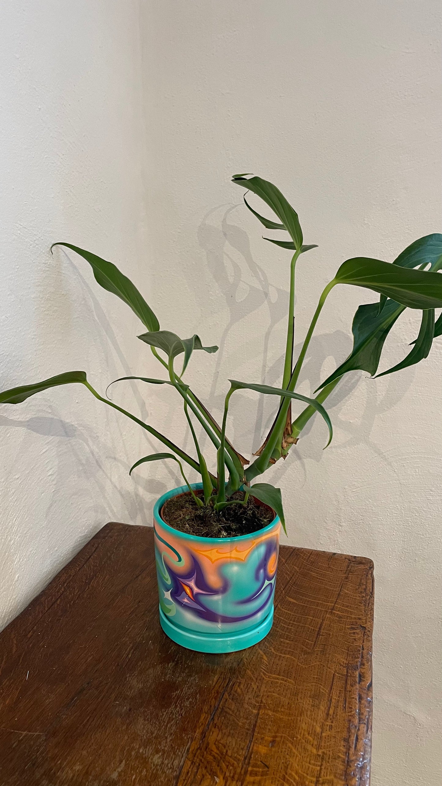 Handpainted Pot 16cm