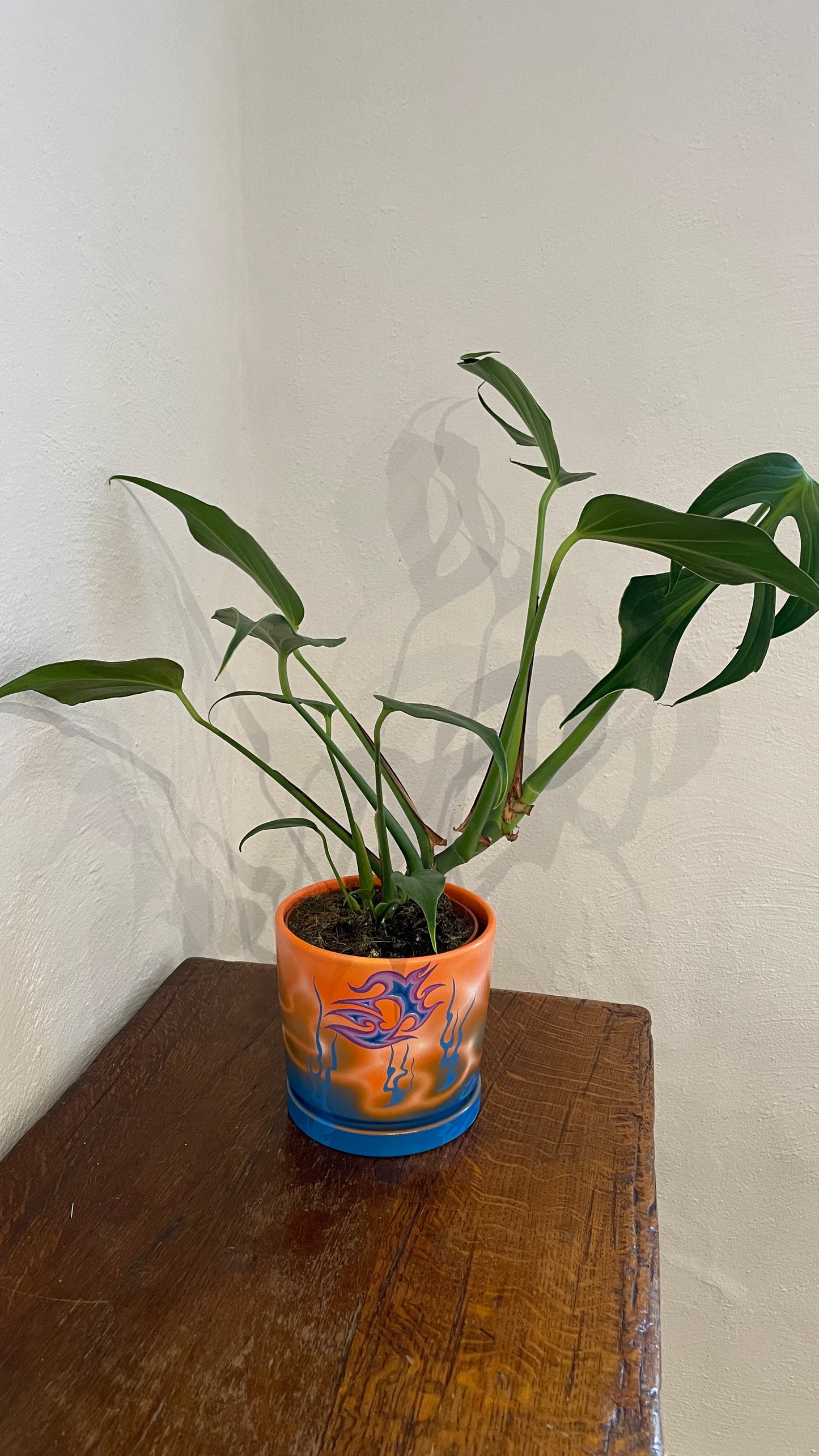 Handpainted Pot 16cm