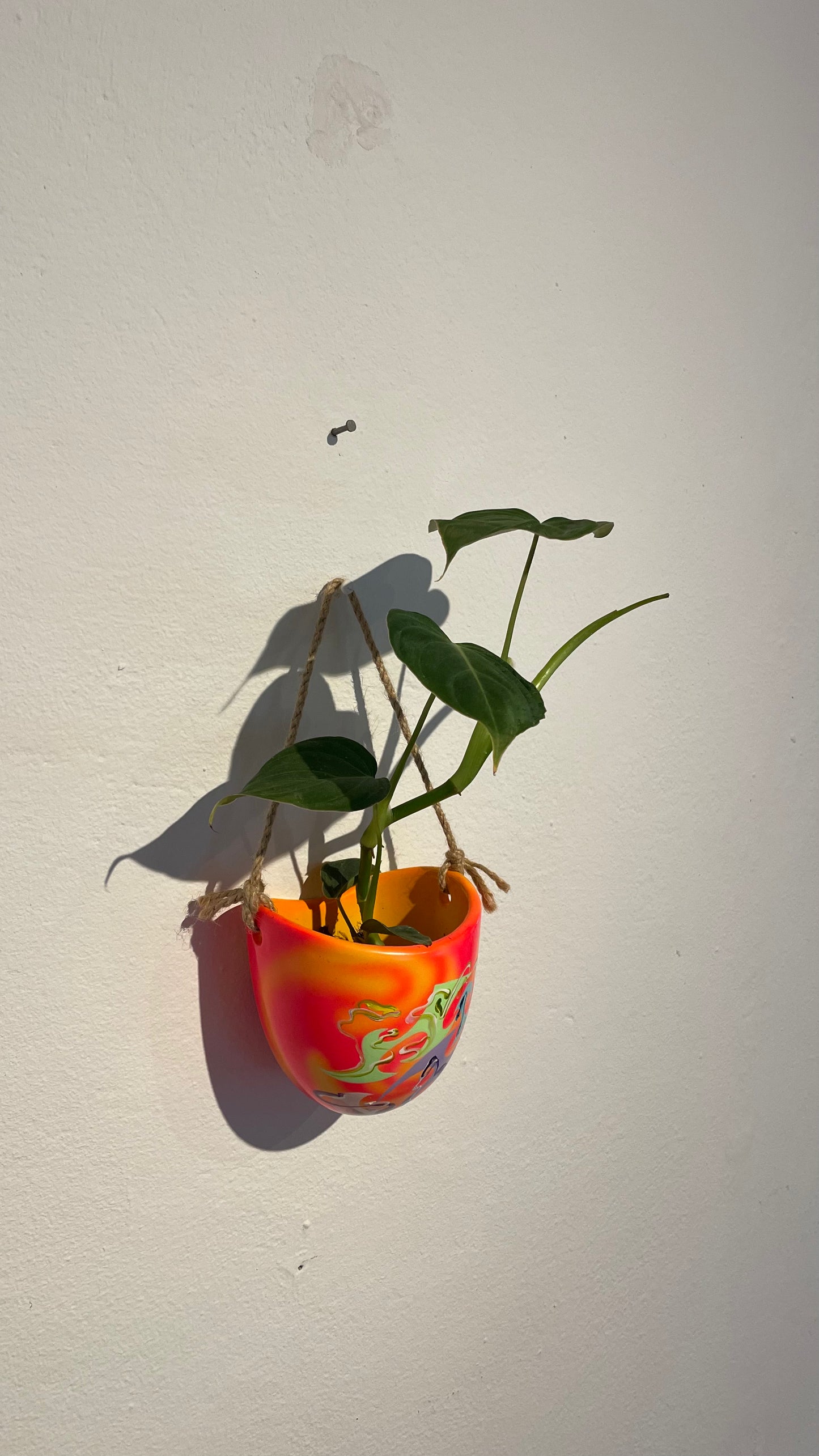 Handpainted Hanging Pot