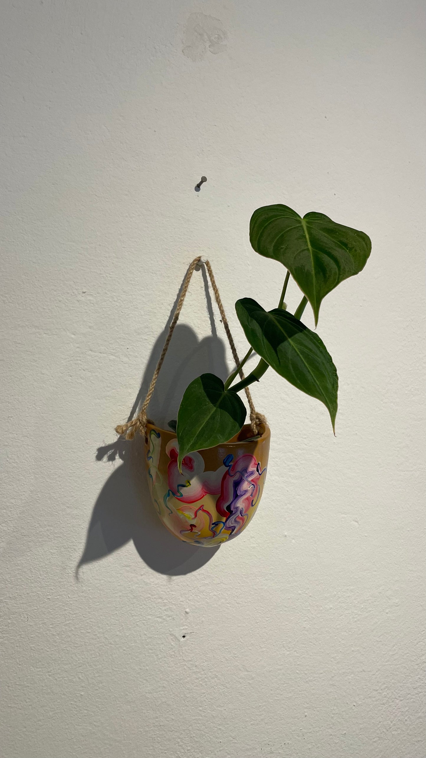 Handpainted Hanging Pot