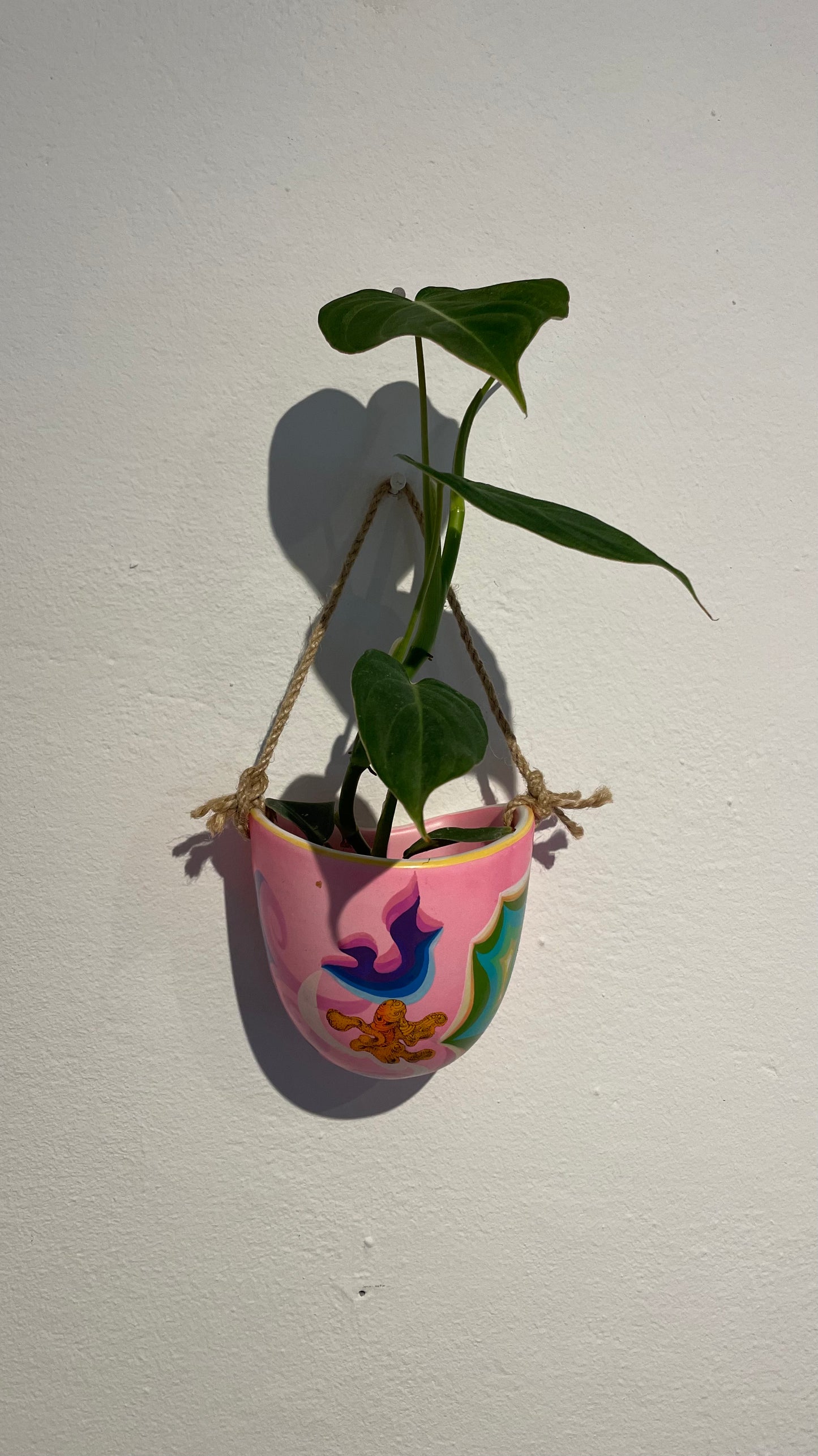 Handpainted Hanging Pot