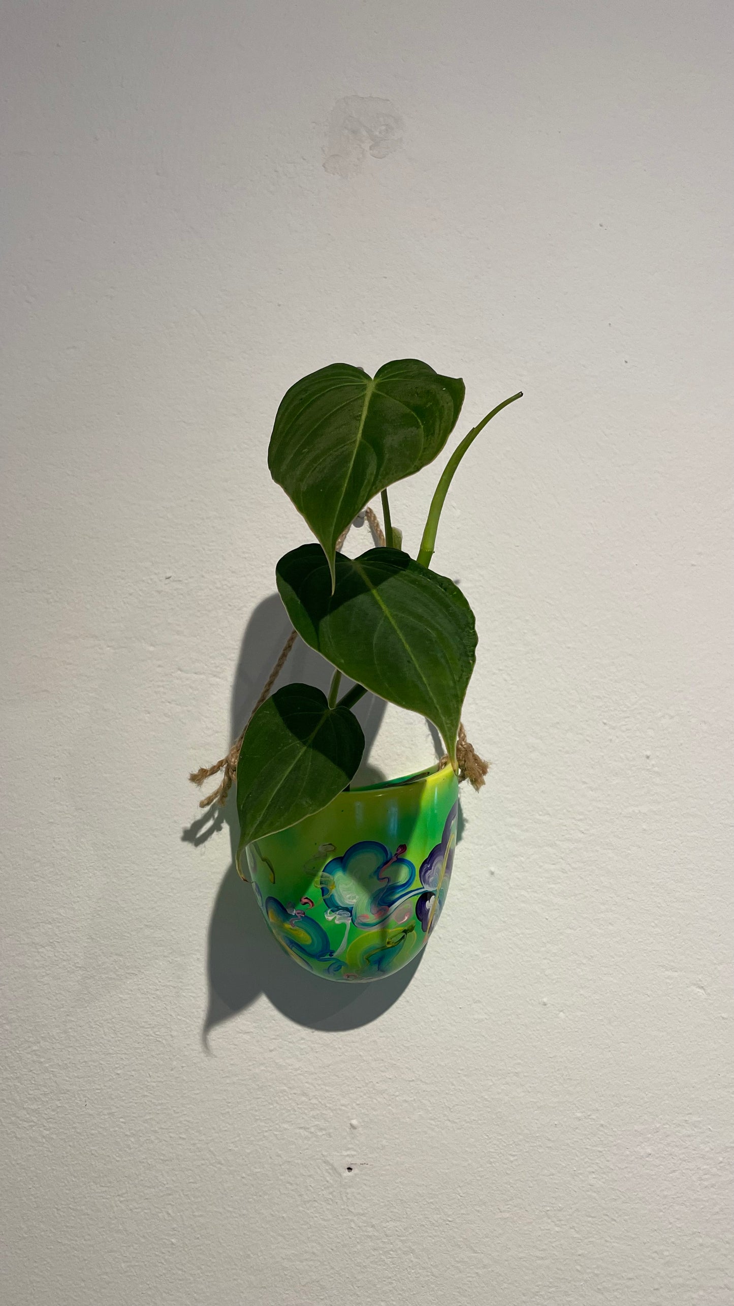 Handpainted Hanging Pot