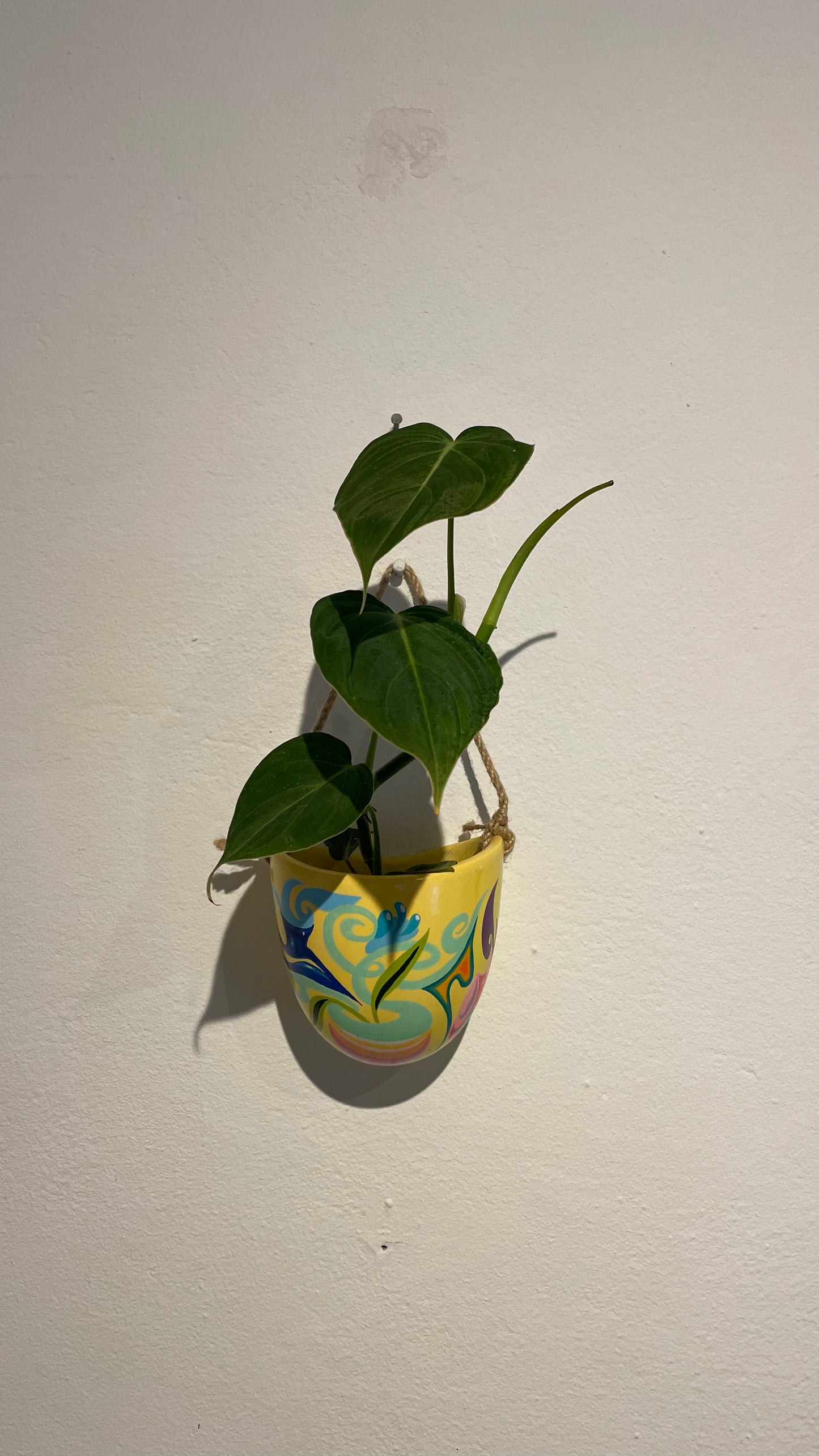 Handpainted Hanging Pot