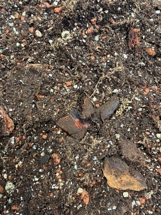 Close-up of Home made Aroid Soil Mix showing chunky texture with coco coir, perlite, pumice, and bark for optimal drainage and aeration.
