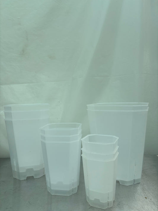 Set of translucent hexagonal planter pots for life in various sizes, ideal for plant growth monitoring and easy repotting.