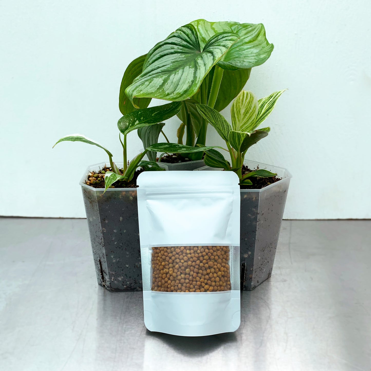 Multicote, 6 Month Release Fertilizer