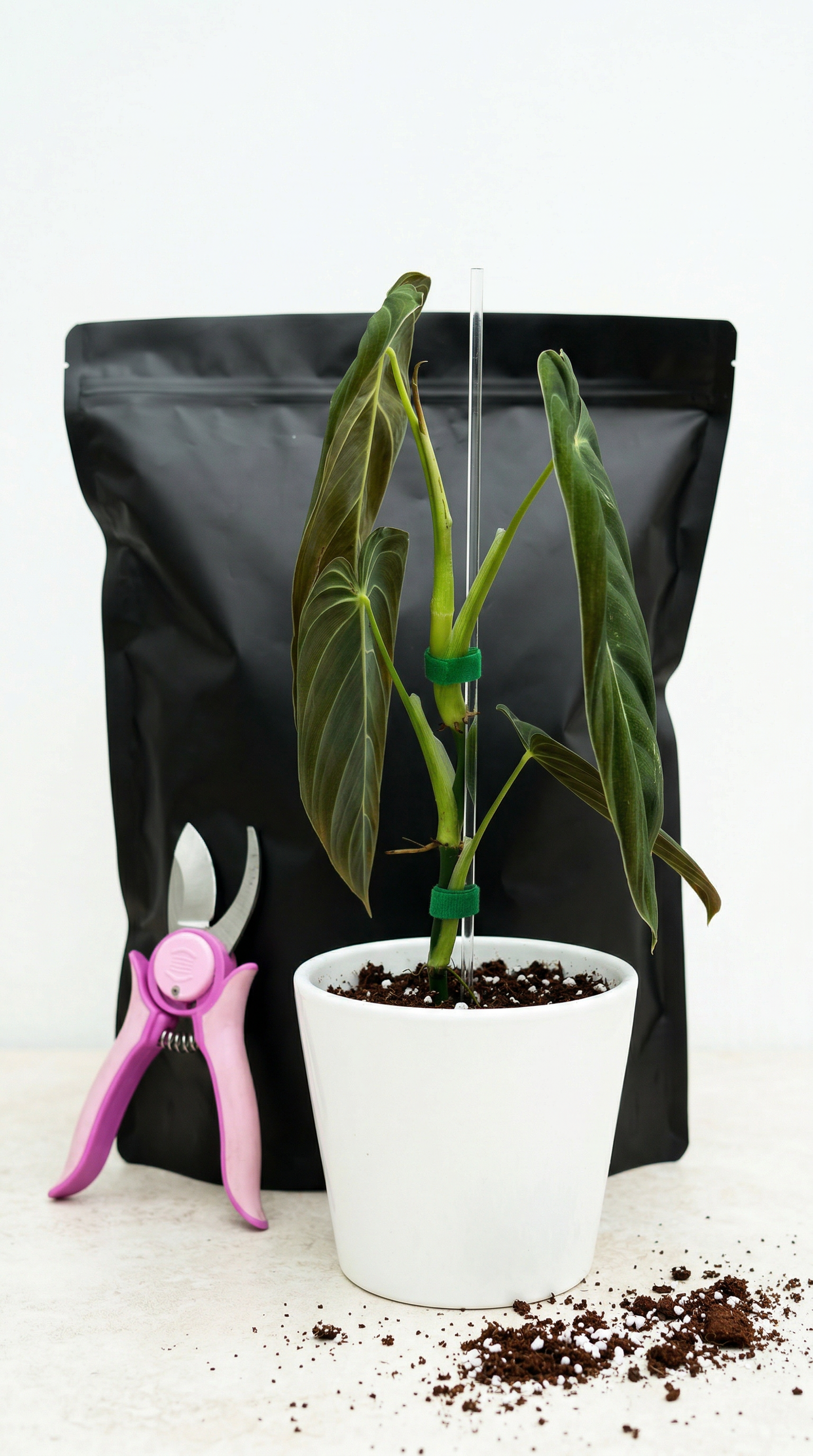 Plant support-Bundle