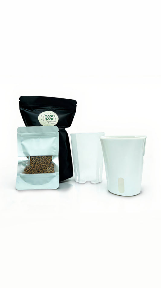 New plant parent starter kit